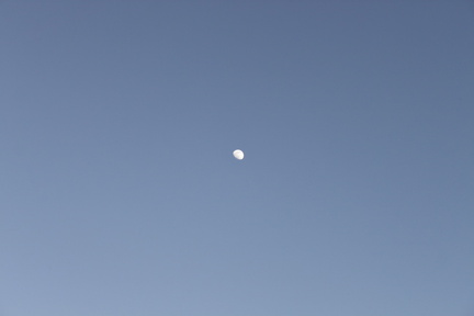 Celestial Harmony